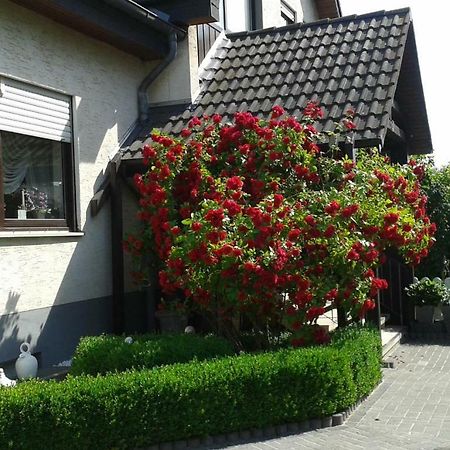 Ferienwohnung Raupe Fritzlar Zewnętrze zdjęcie