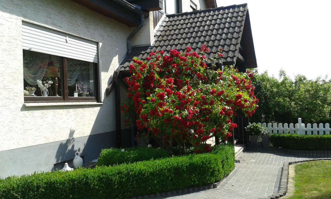 Ferienwohnung Raupe Fritzlar Zewnętrze zdjęcie